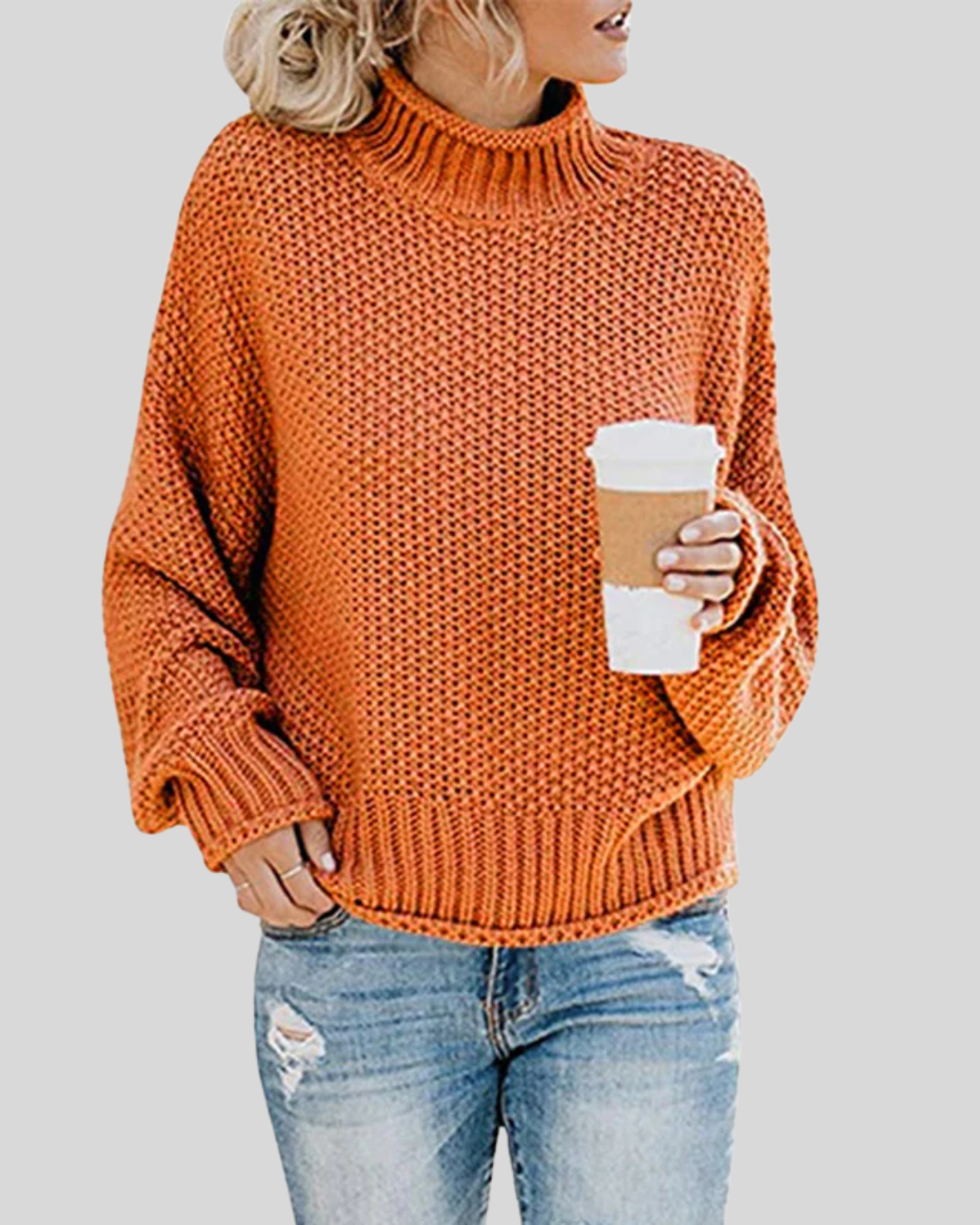 Talia | Chunky Knit Turtleneck Sweater