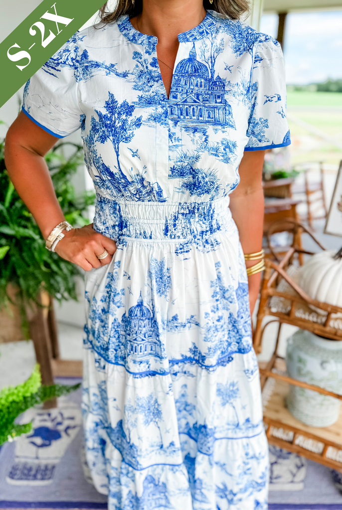 Talia | Classic Toile V-Neck Maxi Dress